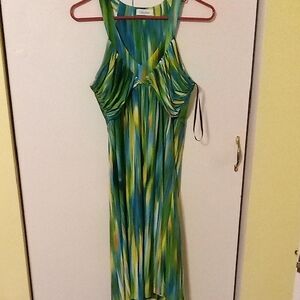 Calvin Klein Green and Yellow Womans Sleeveless Abstract Stripe Dress Size L